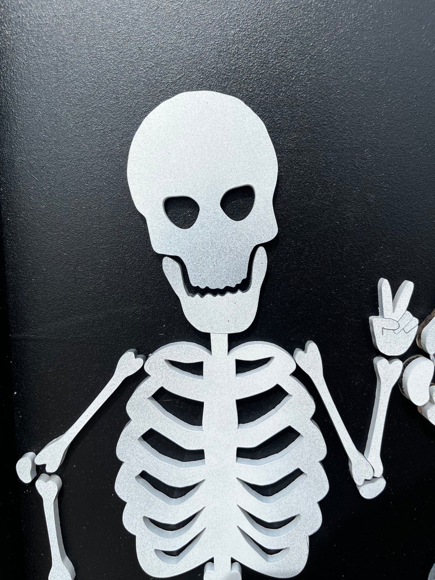 Skeleton Family